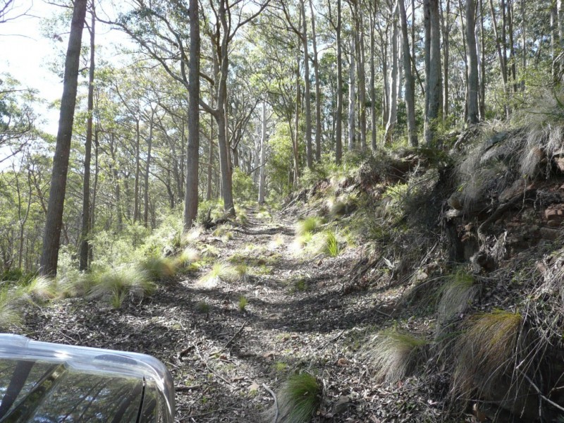 Hanging Rock NSW 2340