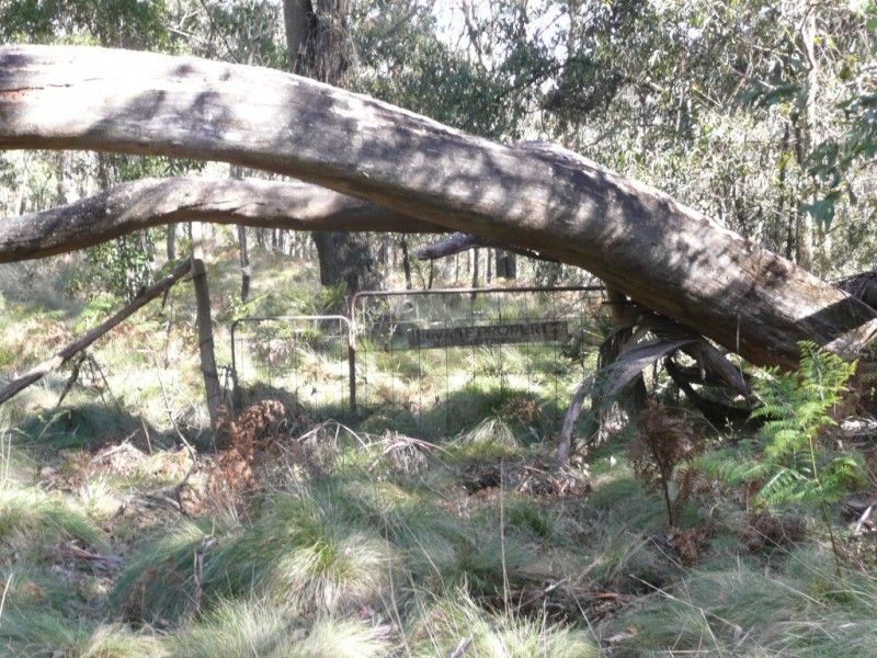 Hanging Rock NSW 2340