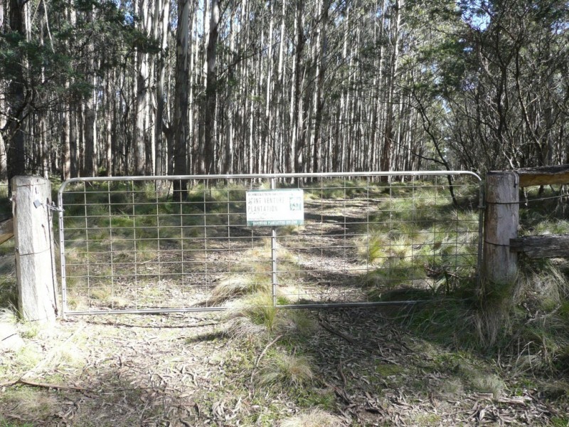 Hanging Rock NSW 2340
