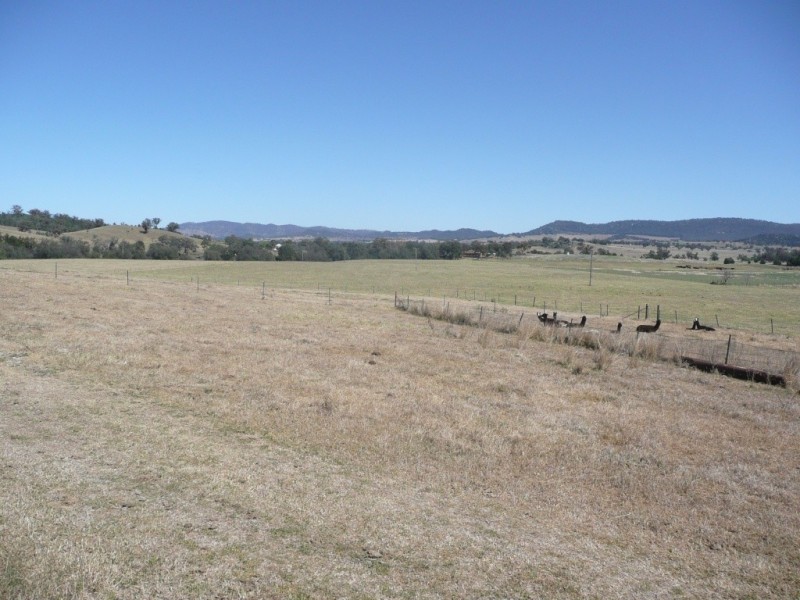 388 Limbri Road, Kootingal NSW 2352