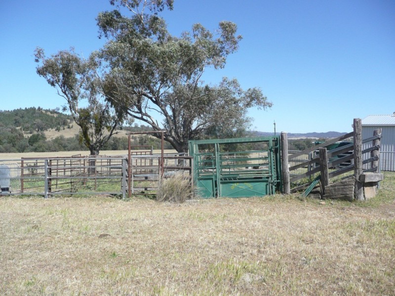 388 Limbri Road, Kootingal NSW 2352