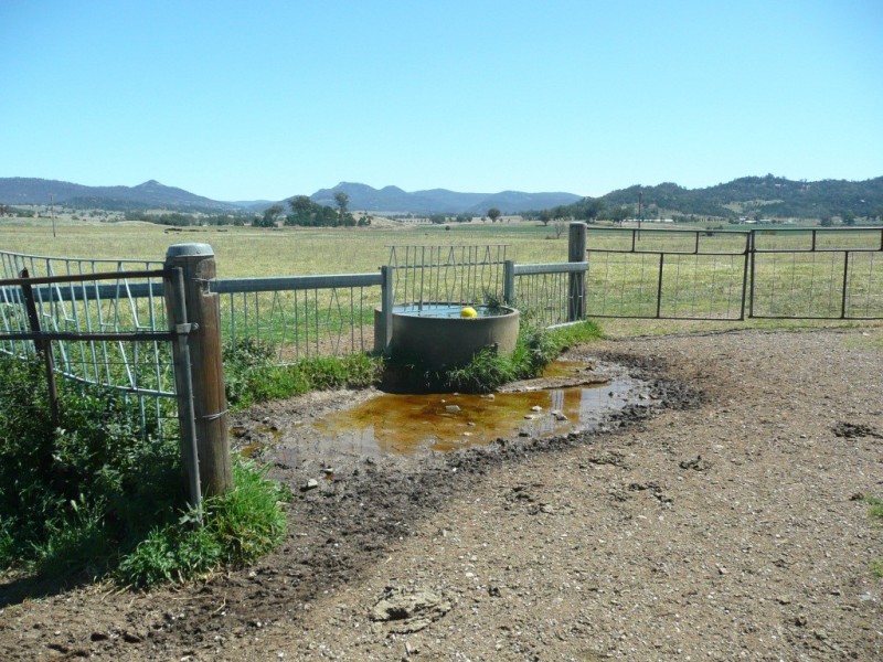 388 Limbri Road, Kootingal NSW 2352