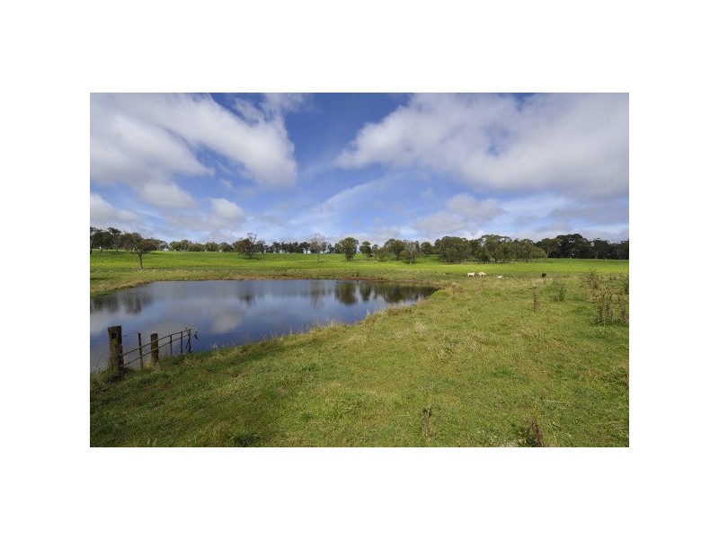 Ebor NSW 2453