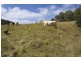 Ebor NSW 2453