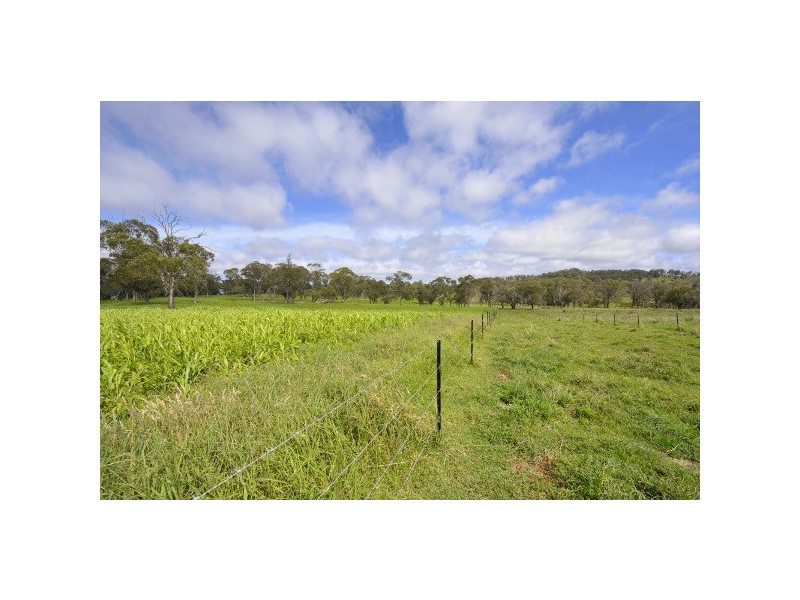 Ebor NSW 2453