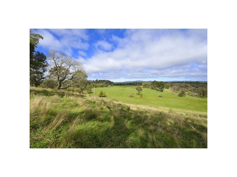 Ebor NSW 2453