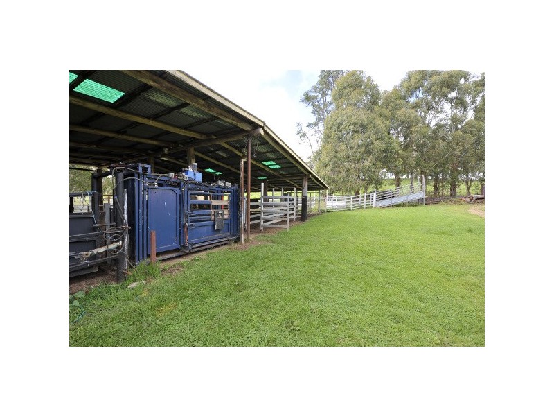 Ebor NSW 2453
