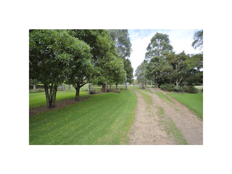 Ebor NSW 2453
