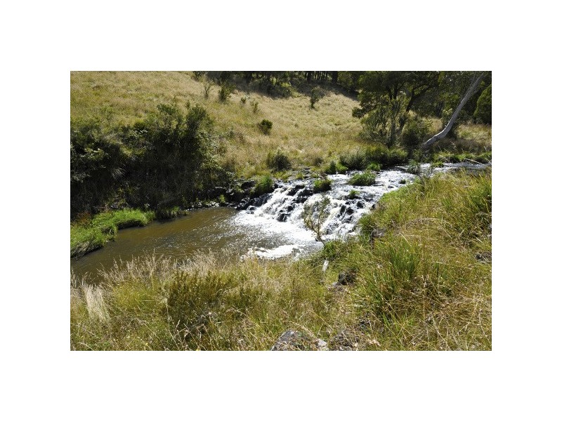 Ebor NSW 2453