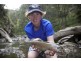 Ebor NSW 2453