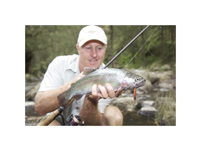 Ebor NSW 2453