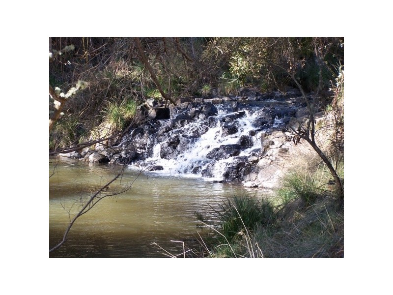 Ebor NSW 2453