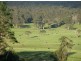 Hernani NSW 2453