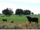 1581 Babbinboon Road, ‘Caloola’, Somerton NSW 2340