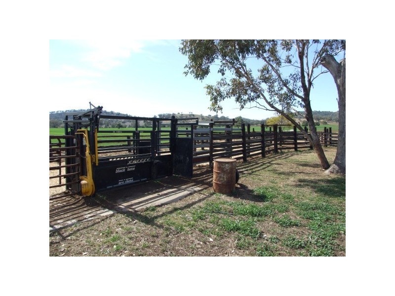 1581 Babbinboon Road, ‘Caloola’, Somerton NSW 2340