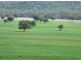 1581 Babbinboon Road, ‘Caloola’, Somerton NSW 2340