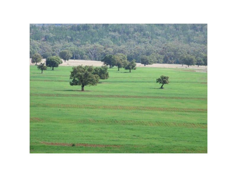 1581 Babbinboon Road, ‘Caloola’, Somerton NSW 2340