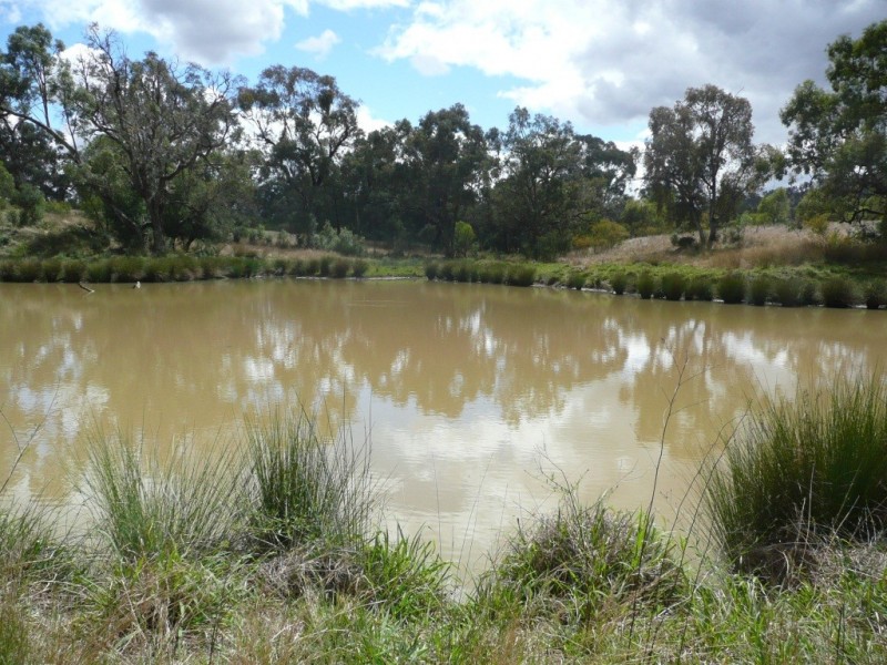 1581 Babbinboon Road, ‘Caloola’, Somerton NSW 2340