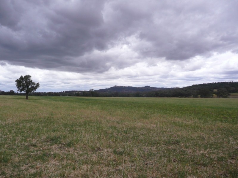 1581 Babbinboon Road, ‘Caloola’, Somerton NSW 2340