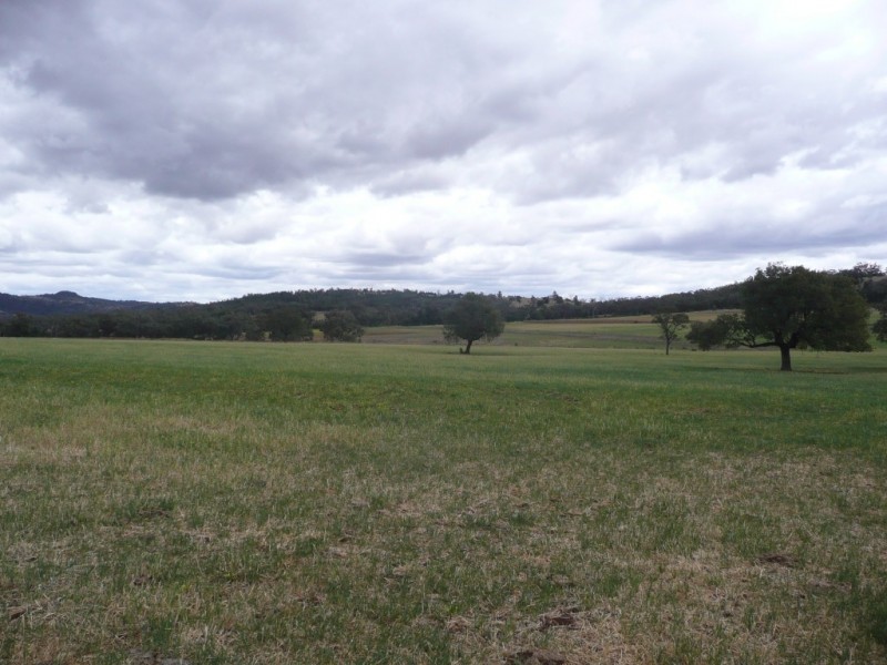 1581 Babbinboon Road, ‘Caloola’, Somerton NSW 2340