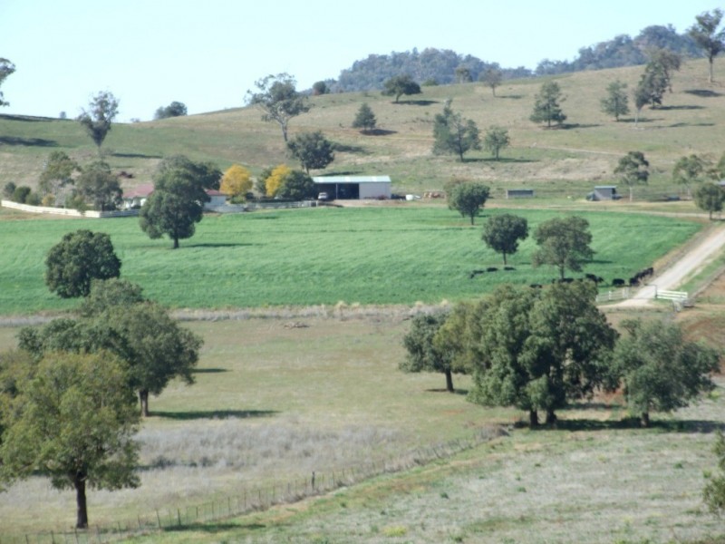 1299 Babbinboon Road, ‘Avonlee’, Somerton NSW 2340