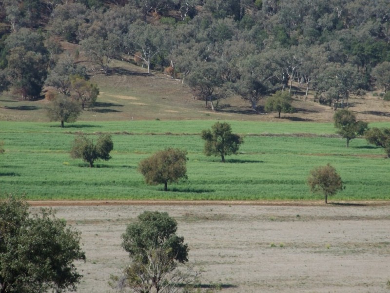 1299 Babbinboon Road, ‘Avonlee’, Somerton NSW 2340