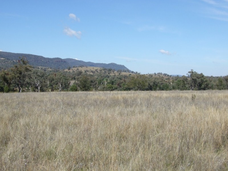 1299 Babbinboon Road, ‘Avonlee’, Somerton NSW 2340