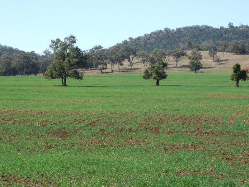 1299 Babbinboon Road, ‘Avonlee’, Somerton NSW 2340