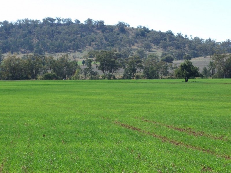 1299 Babbinboon Road, ‘Avonlee’, Somerton NSW 2340