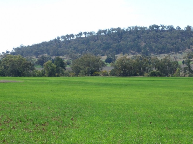 1299 Babbinboon Road, ‘Avonlee’, Somerton NSW 2340