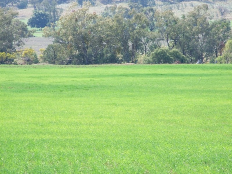 1299 Babbinboon Road, ‘Avonlee’, Somerton NSW 2340