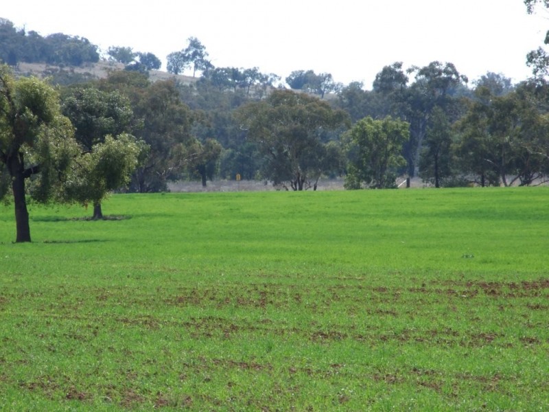 1299 Babbinboon Road, ‘Avonlee’, Somerton NSW 2340