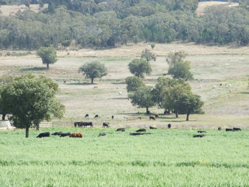 1299 Babbinboon Road, ‘Avonlee’, Somerton NSW 2340