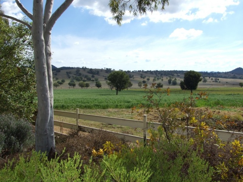 1299 Babbinboon Road, ‘Avonlee’, Somerton NSW 2340