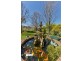 Dungowan NSW 2340