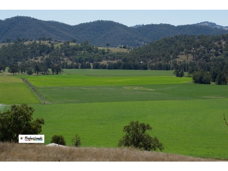 Dungowan NSW 2340