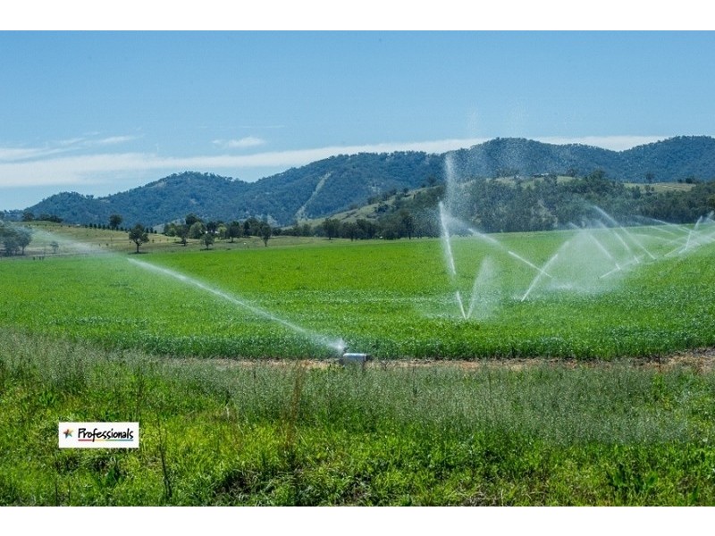 Dungowan NSW 2340