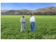 Dungowan NSW 2340