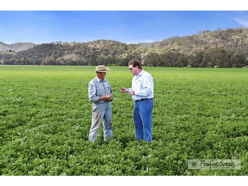 Dungowan NSW 2340