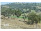 Dungowan NSW 2340