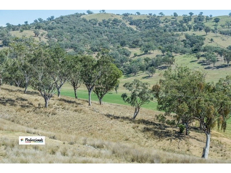 Dungowan NSW 2340