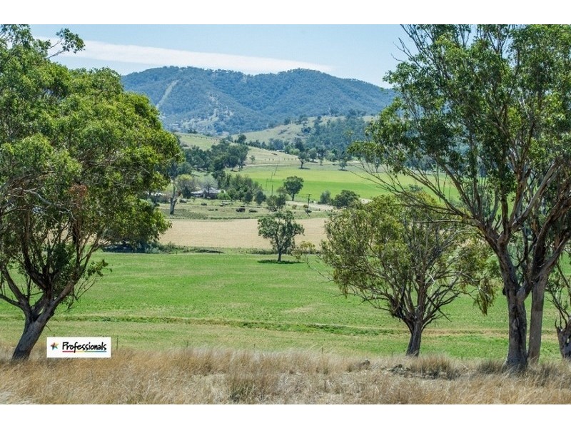 Dungowan NSW 2340