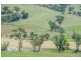 Dungowan NSW 2340