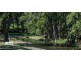Dungowan NSW 2340