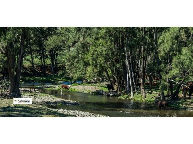 Dungowan NSW 2340