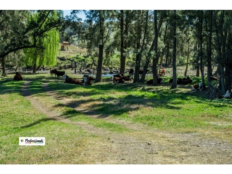 Dungowan NSW 2340
