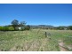 207 Sandy Road, Kootingal NSW 2352
