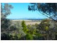 14 Mornington Crescent, Tamworth NSW 2340