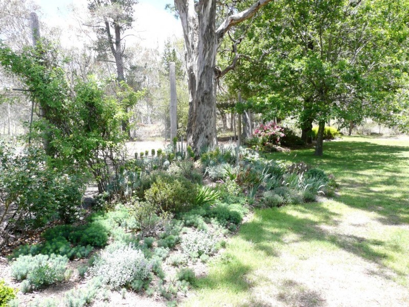 14362 Oxley Highway- ‘Yenda’, Walcha NSW 2354