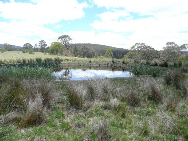 14362 Oxley Highway- ‘Yenda’, Walcha NSW 2354